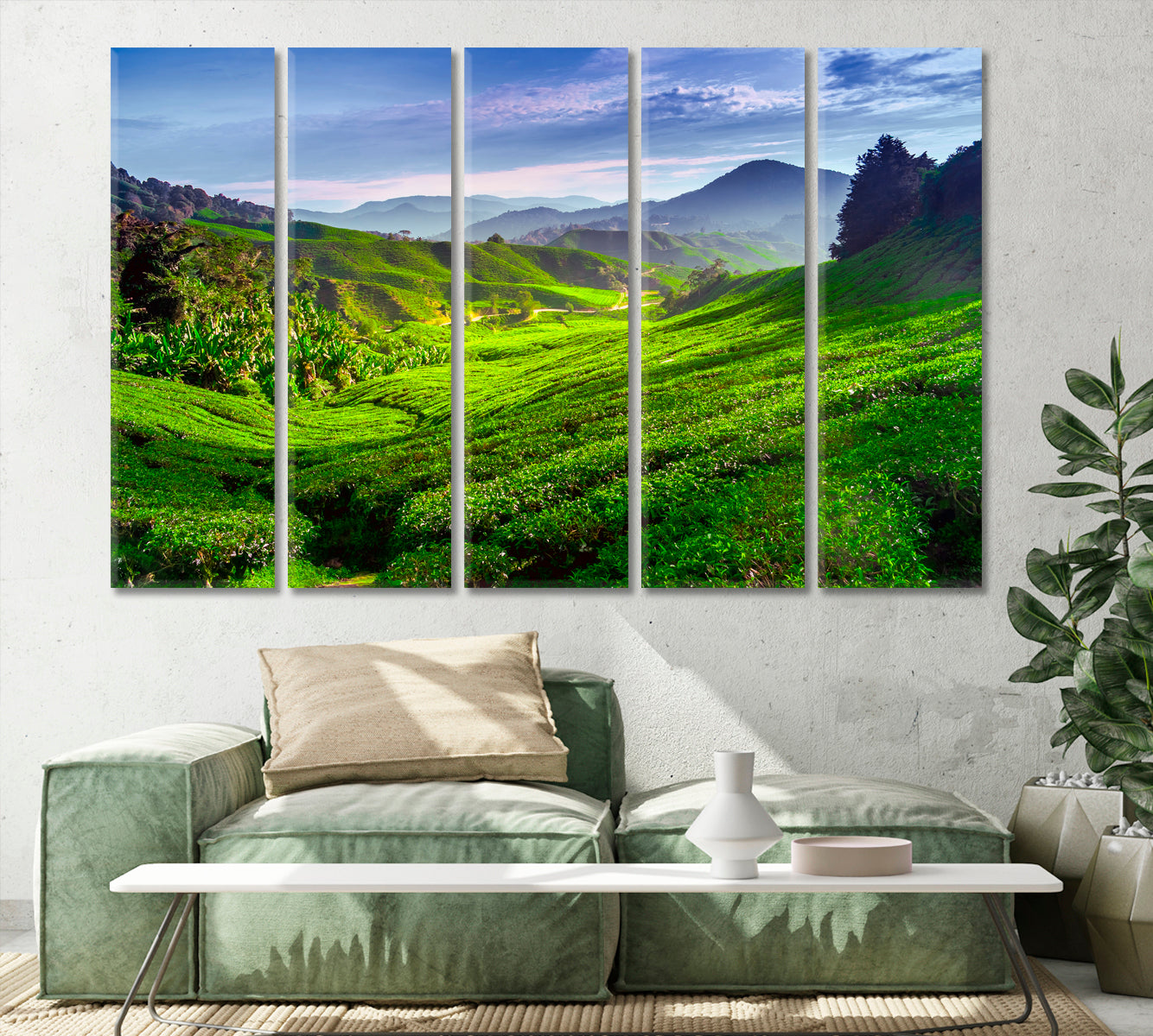 Tea Plantation in Cameron Highlands Malaysia Canvas Print-Canvas Print-CetArt-1 Panel-24x16 inches-CetArt