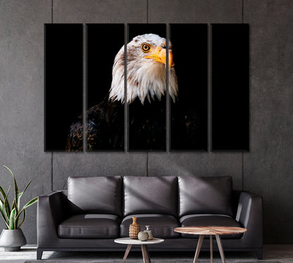 Powerful Bird Bald Eagle Canvas Print-Canvas Print-CetArt-1 Panel-24x16 inches-CetArt