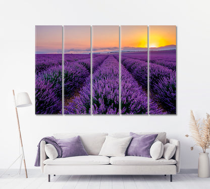 Sunrise in the Lavender Field Canvas Print-Canvas Print-CetArt-1 Panel-24x16 inches-CetArt