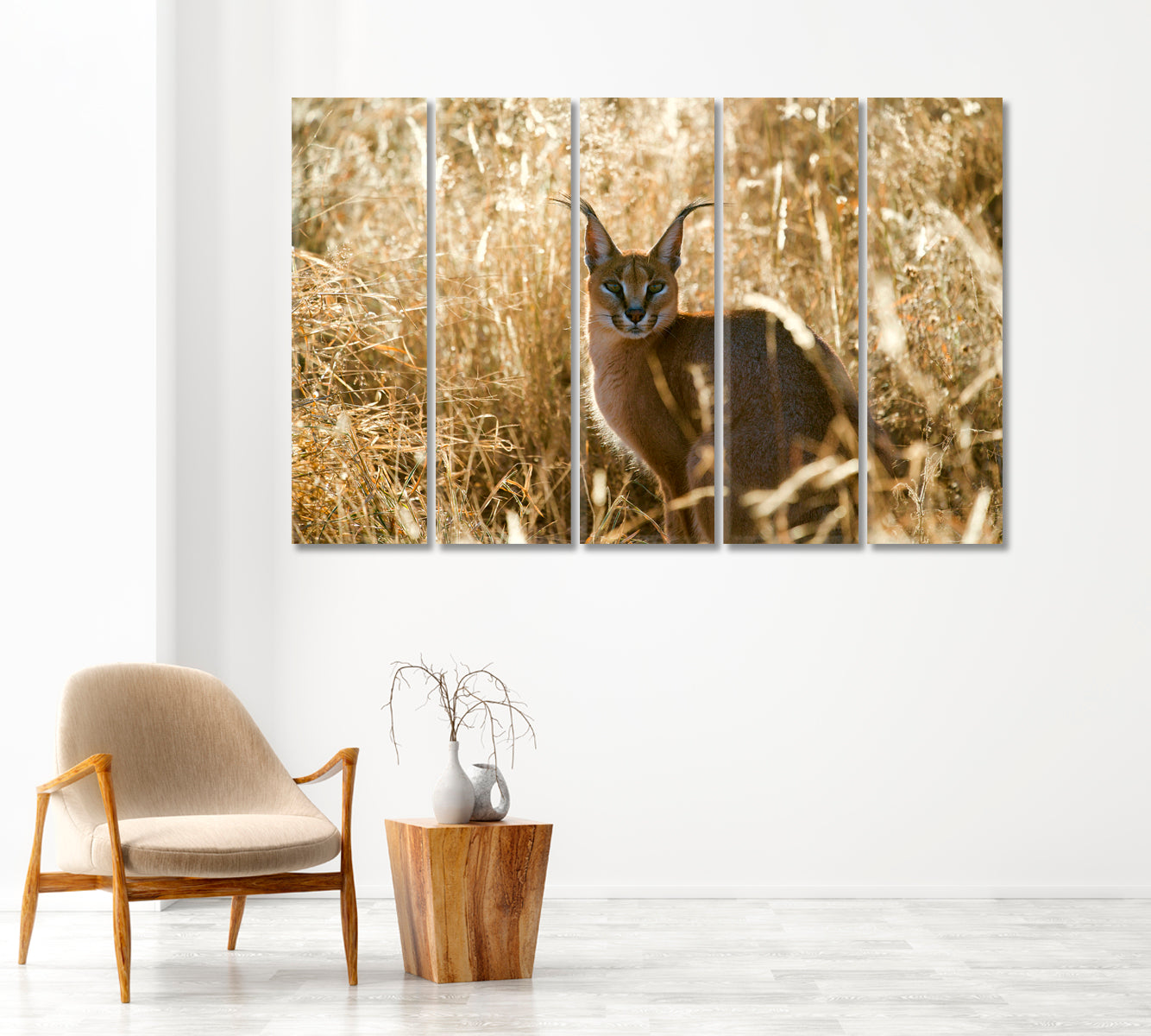 Caracal African Lynx Canvas Print-Canvas Print-CetArt-1 Panel-24x16 inches-CetArt