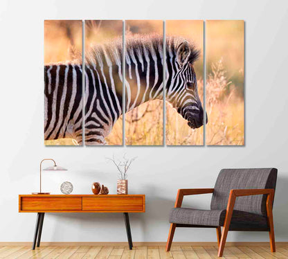 Hartmann's Mountain Zebra Canvas Print-Canvas Print-CetArt-1 Panel-24x16 inches-CetArt