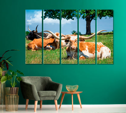 Texas Longhorn Cattle Canvas Print-Canvas Print-CetArt-1 Panel-24x16 inches-CetArt