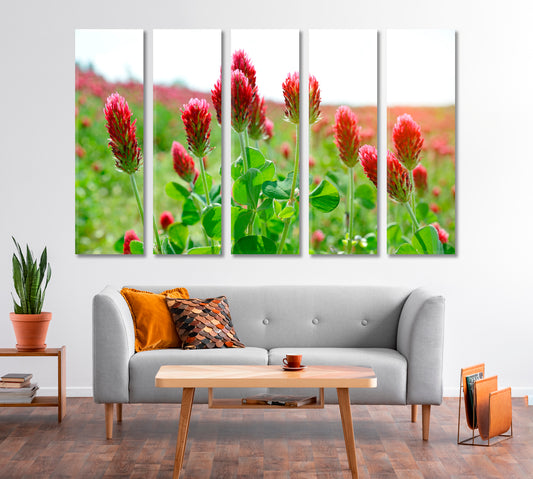 Clovers Field Canvas Print-Canvas Print-CetArt-1 Panel-24x16 inches-CetArt