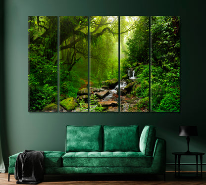 Subtropical Forest in Nepal Canvas Print-Canvas Print-CetArt-1 Panel-24x16 inches-CetArt