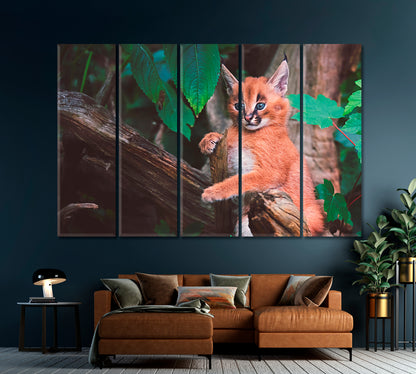 Cute Caracal Canvas Print-Canvas Print-CetArt-1 Panel-24x16 inches-CetArt