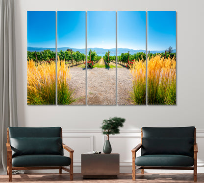 Vineyards Landscape Western Canada British Columbia Canvas Print-Canvas Print-CetArt-1 Panel-24x16 inches-CetArt