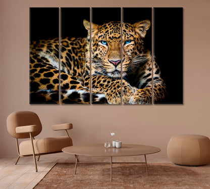 Northern Chinese Leopard with Extraordinary Blue Eyes Canvas Print-Canvas Print-CetArt-1 Panel-24x16 inches-CetArt