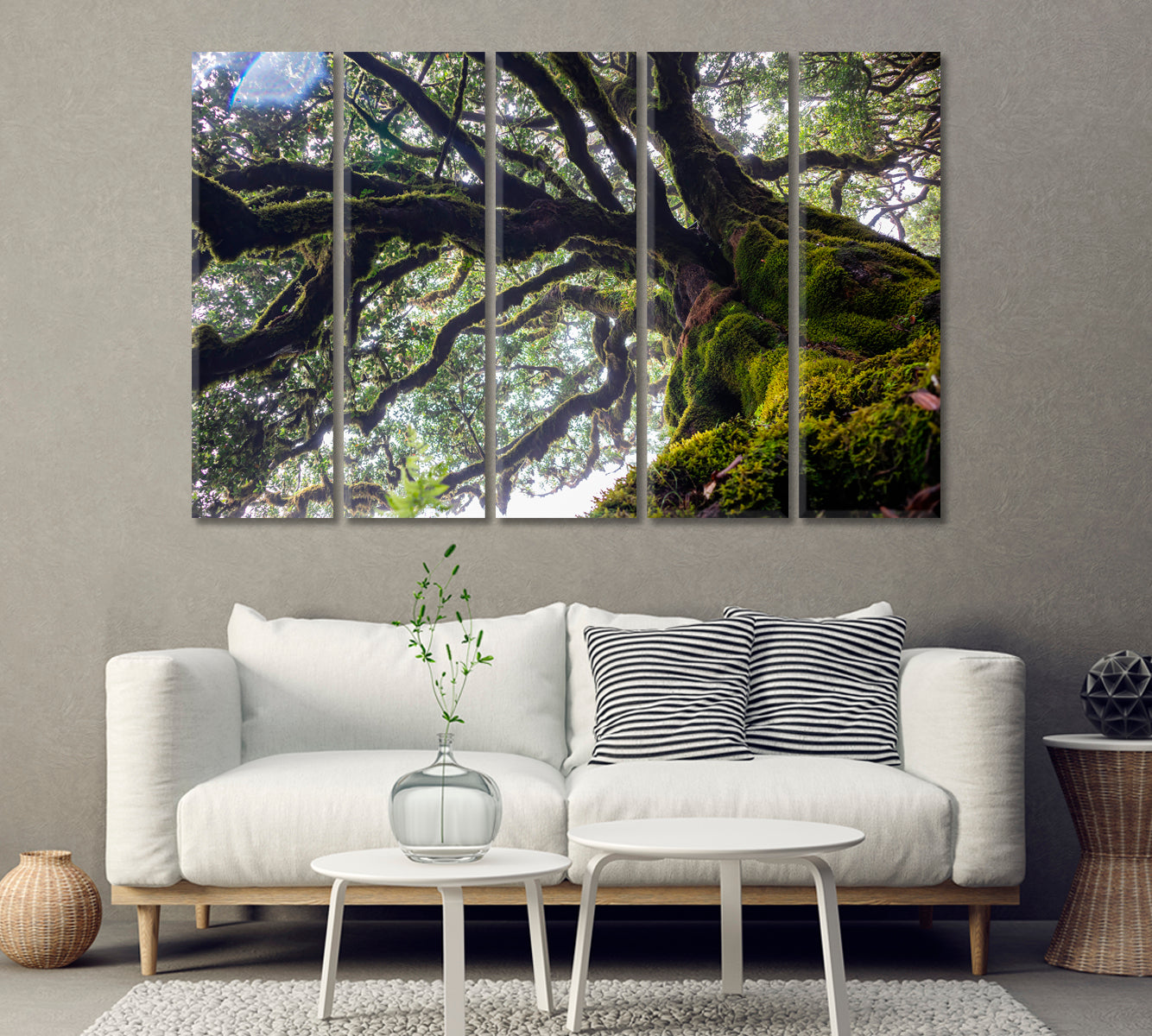 Ancient Laurel Tree Covered Perennial Moss in Laurisilva Canvas Print-Canvas Print-CetArt-1 Panel-24x16 inches-CetArt