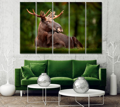 American Moose in Natural Habitat Canvas Print-Canvas Print-CetArt-5 Panels-36x24 inches-CetArt