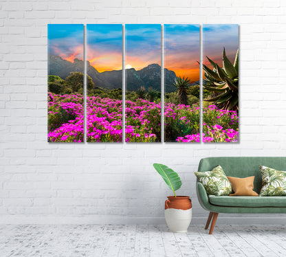 Kirstenbosch National Botanical Garden Cape Town South Africa Canvas Print-Canvas Print-CetArt-1 Panel-24x16 inches-CetArt