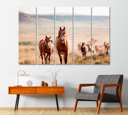 Pryor Mountain Horses Canvas Print-Canvas Print-CetArt-1 Panel-24x16 inches-CetArt