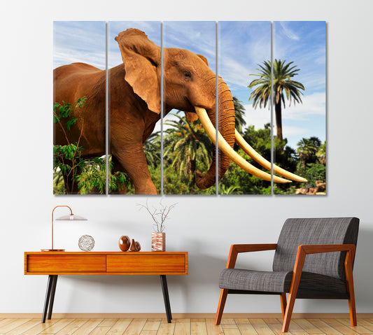 African Elephant Canvas Print-Canvas Print-CetArt-1 Panel-24x16 inches-CetArt