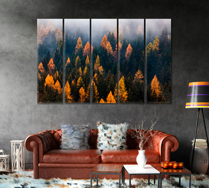 Autumn Forest in Fog Canvas Print-Canvas Print-CetArt-1 Panel-24x16 inches-CetArt