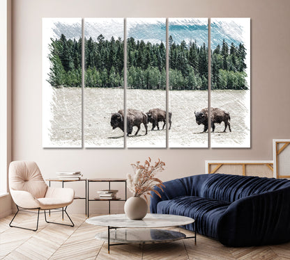 Herd of American Bison Grand Canyon National Park Arizona USA Canvas Print-Canvas Print-CetArt-1 Panel-24x16 inches-CetArt