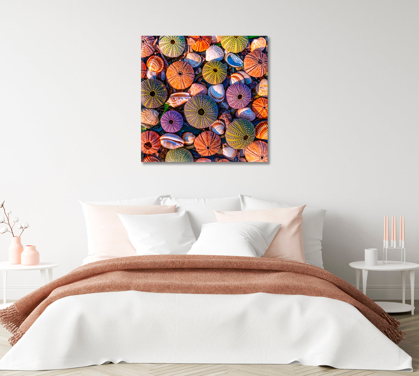 Sea Urchins Canvas Print-Canvas Print-CetArt-1 panel-12x12 inches-CetArt