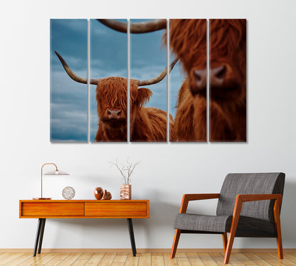 Portrait Of A Highland Cow Canvas Print-Canvas Print-CetArt-1 Panel-24x16 inches-CetArt