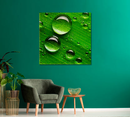 Water Droplets on Green Leaf Canvas Print-Canvas Print-CetArt-1 panel-12x12 inches-CetArt