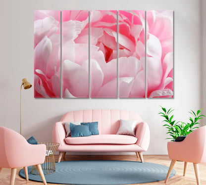 Delicate Peony Flower Canvas Print-Canvas Print-CetArt-1 Panel-24x16 inches-CetArt