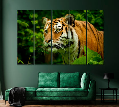 Tiger Face Wildlife Canvas Print-Canvas Print-CetArt-1 Panel-24x16 inches-CetArt