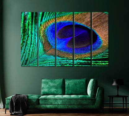 Colorful Peacock Feather Canvas Print-Canvas Print-CetArt-1 Panel-24x16 inches-CetArt