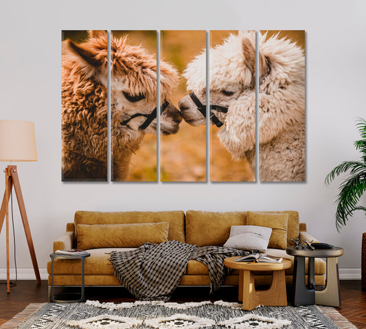 Two Fluffy Alpacas Canvas Print-Canvas Print-CetArt-1 Panel-24x16 inches-CetArt