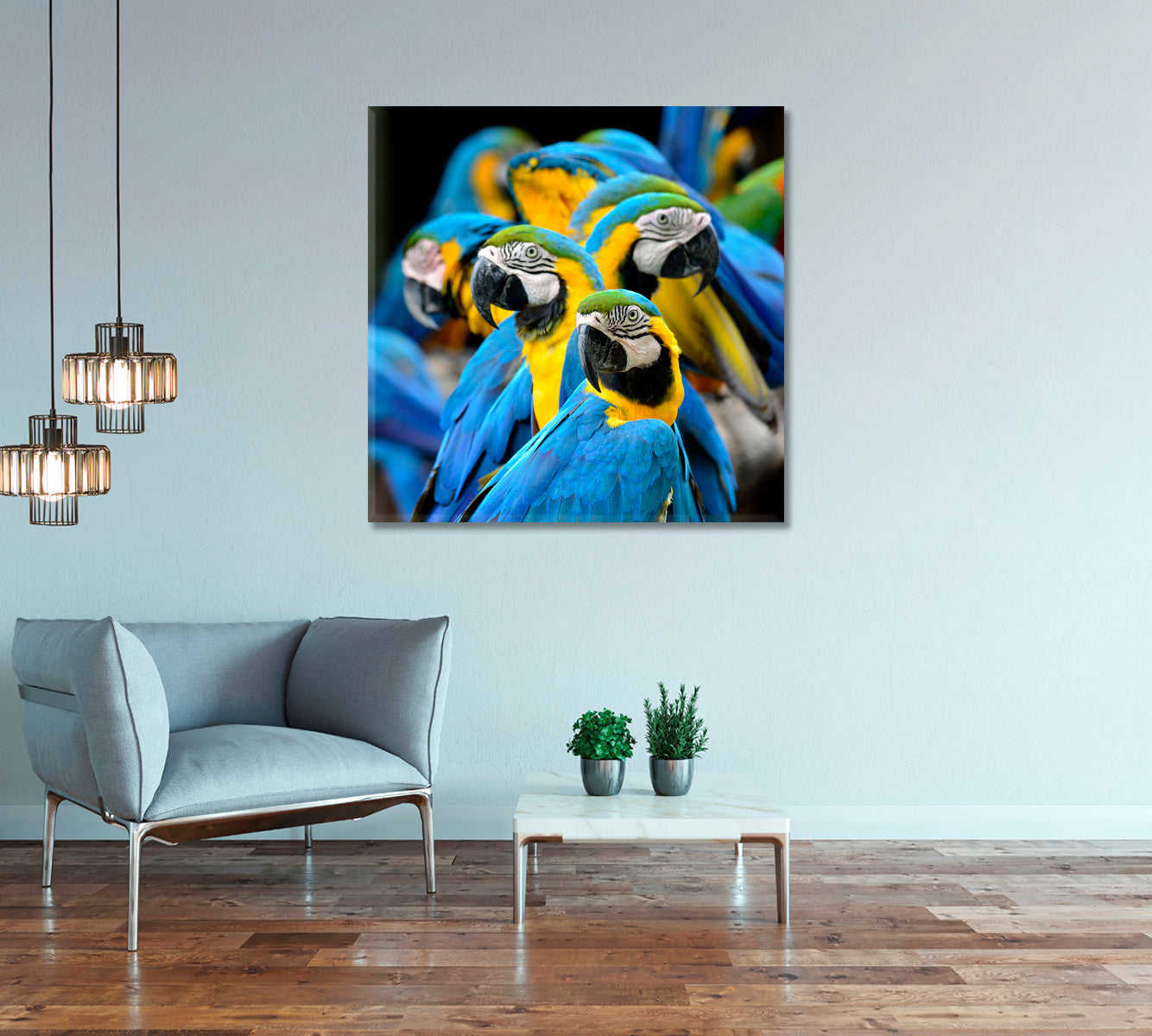 Blue and Gold Macaw Parrot Canvas Print-Canvas Print-CetArt-1 panel-12x12 inches-CetArt