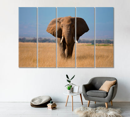 African Elephant in Amboseli Park Kenya Canvas Print-Canvas Print-CetArt-1 Panel-24x16 inches-CetArt