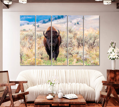 American Bison in Natural Habitat Canvas Print-Canvas Print-CetArt-1 Panel-24x16 inches-CetArt