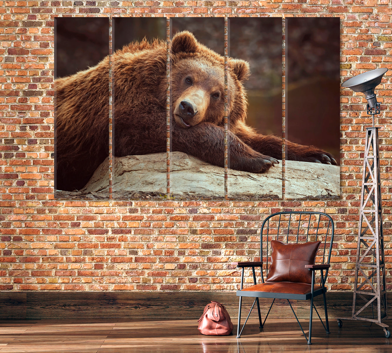 Brown Bear Canvas Print-Canvas Print-CetArt-1 Panel-24x16 inches-CetArt