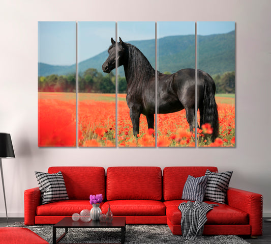 Black Arabian Horse in Poppy Field Canvas Print-Canvas Print-CetArt-1 Panel-24x16 inches-CetArt