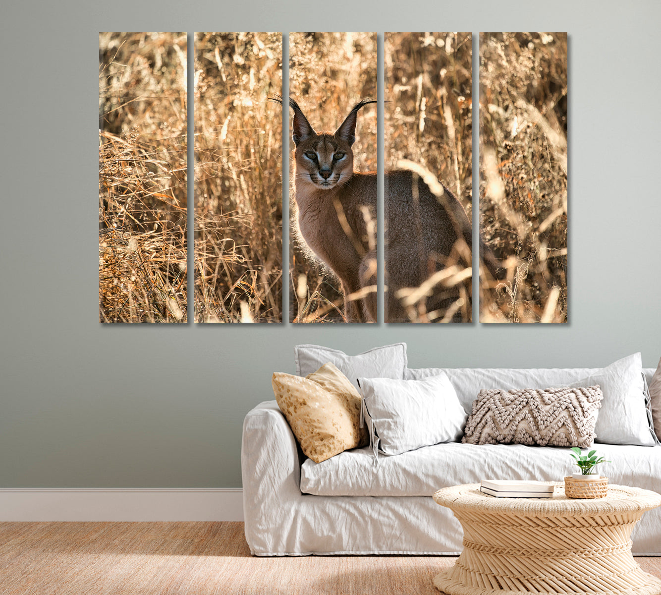 Beautiful Caracal African Lynx in Natural Habitat Canvas Print-Canvas Print-CetArt-1 Panel-24x16 inches-CetArt