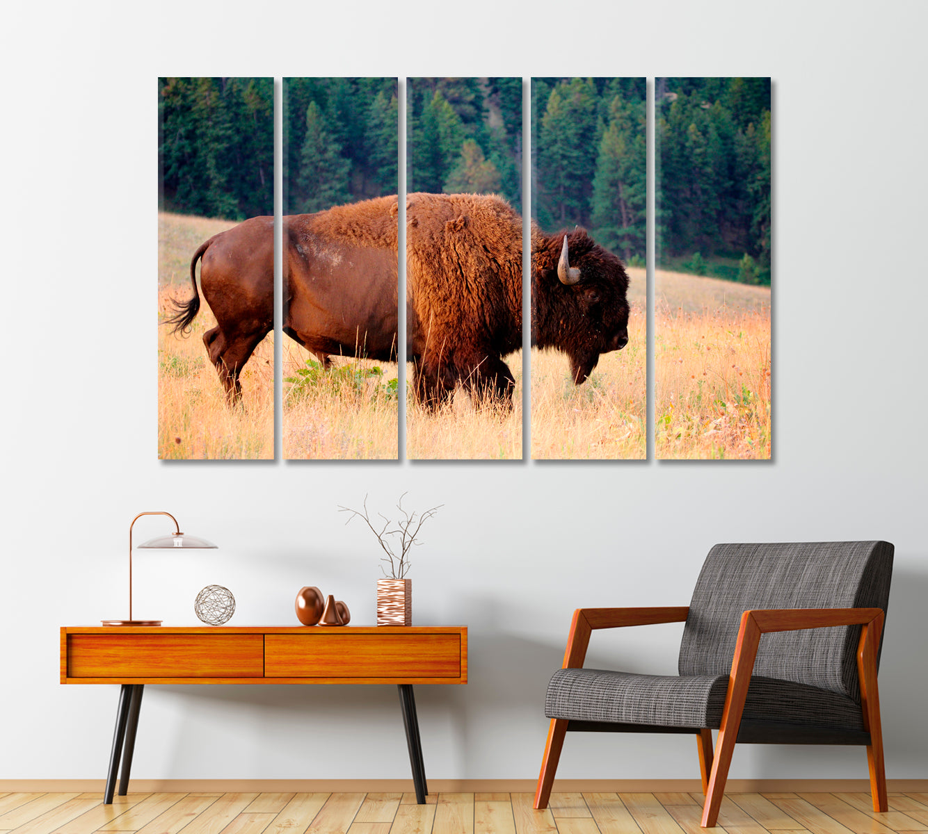 American Bison Buffalo Montana Canvas Print-Canvas Print-CetArt-1 Panel-24x16 inches-CetArt