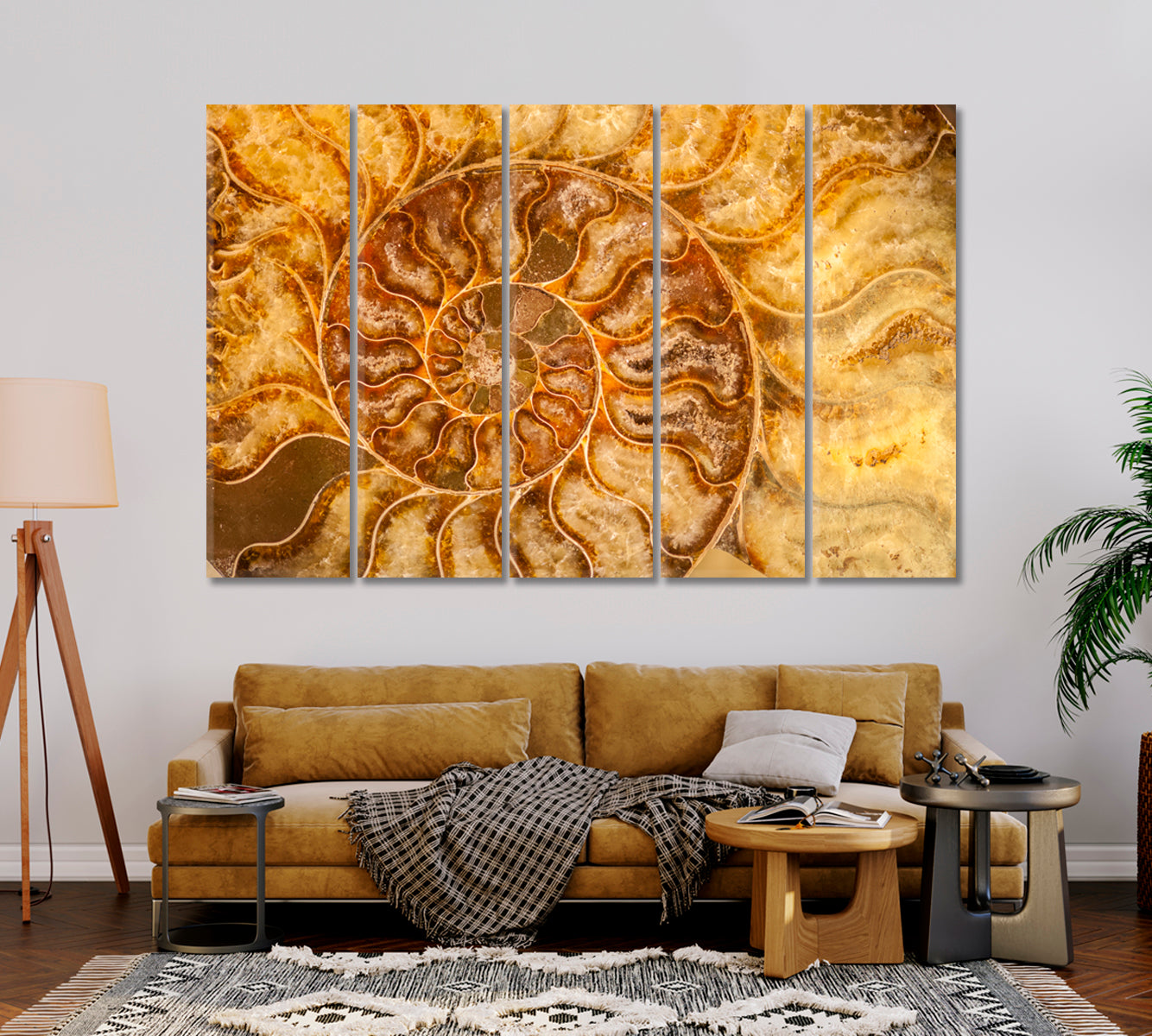 Nautilus Shell Fossil Canvas Print-Canvas Print-CetArt-1 Panel-24x16 inches-CetArt