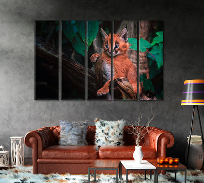 Cute Baby Caracal Canvas Print-Canvas Print-CetArt-1 Panel-24x16 inches-CetArt