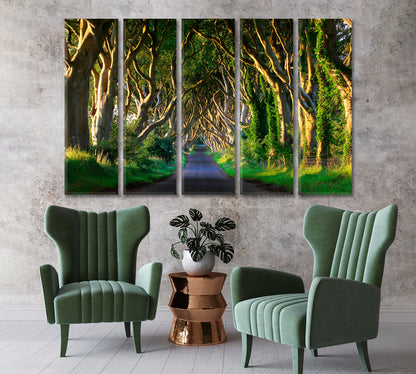 Dark Hedges Northern Ireland Canvas Print-Canvas Print-CetArt-1 Panel-24x16 inches-CetArt