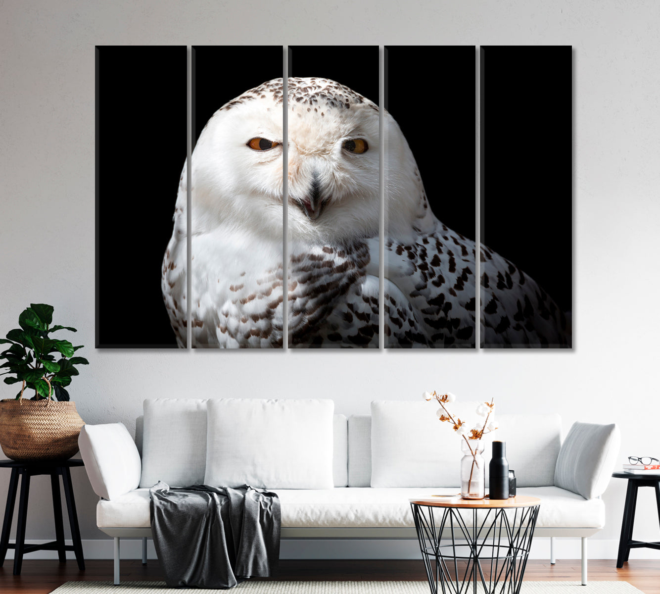 Snowy Owl Canvas Print-CetArt-1 Panel-24x16 inches-CetArt