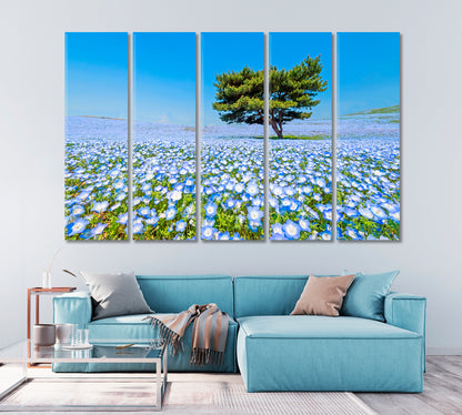 Hitachi National Seaside Park Japan Canvas Print-Canvas Print-CetArt-1 Panel-24x16 inches-CetArt