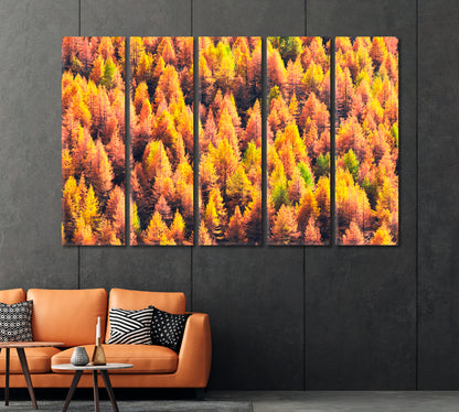 Beautiful Autumn Forest Swiss Alps Canvas Print-Canvas Print-CetArt-1 Panel-24x16 inches-CetArt