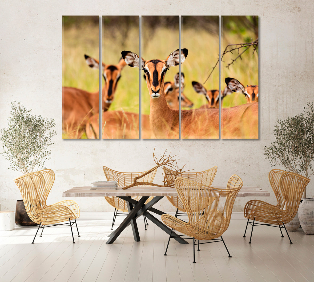 Young African Antelopes Canvas Print-Canvas Print-CetArt-1 Panel-24x16 inches-CetArt