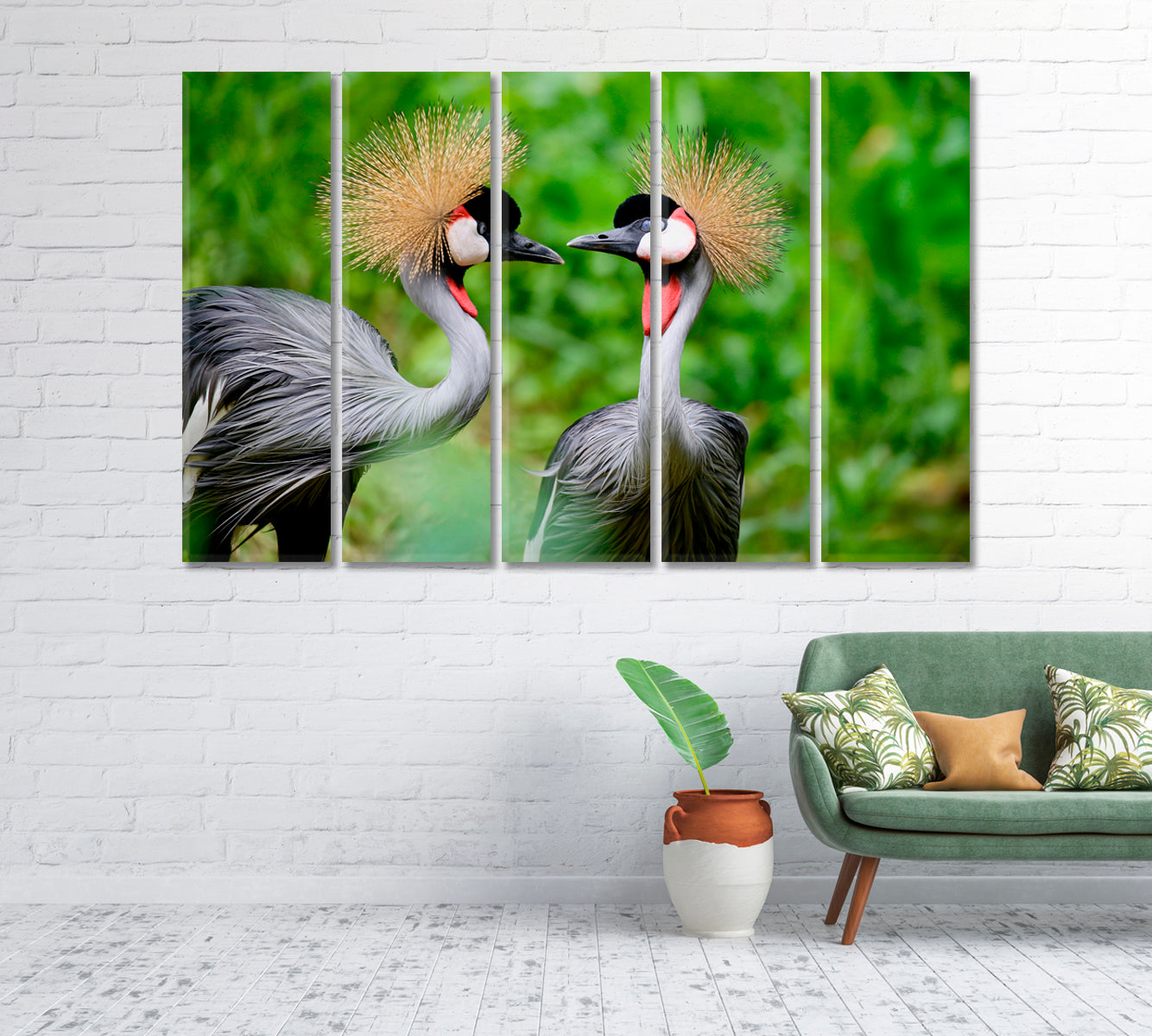 Grey Crowned Crane Birds Canvas Print-Canvas Print-CetArt-1 Panel-24x16 inches-CetArt