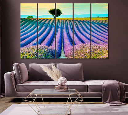 Beautiful Lavender Field at Sunset Provence France Canvas Print-Canvas Print-CetArt-1 Panel-24x16 inches-CetArt