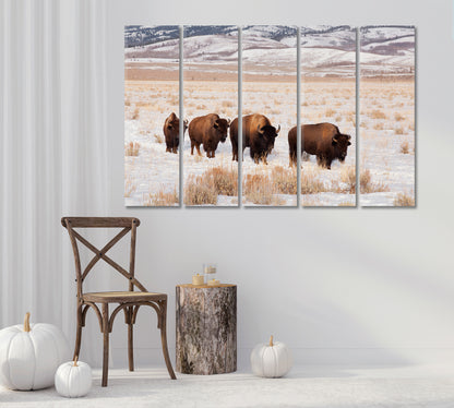 Bison Herd In Winter Canvas Print-Canvas Print-CetArt-1 Panel-24x16 inches-CetArt