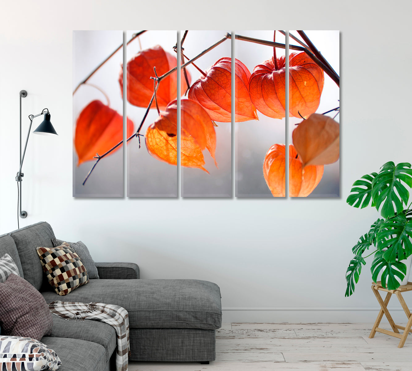 Dry Physalis Alkekengi Lanterns Canvas Print-Canvas Print-CetArt-1 Panel-24x16 inches-CetArt