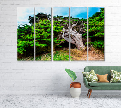 New Zealand Horizontal Forest Canvas Print-Canvas Print-CetArt-1 Panel-24x16 inches-CetArt