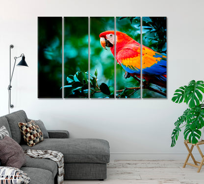 Big Colorful Parrot Macaw Canvas Print-Canvas Print-CetArt-1 Panel-24x16 inches-CetArt