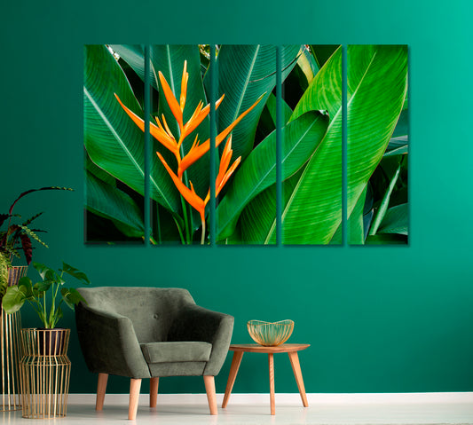 Strelitzia Bird Of Paradise Flower Canvas Print-Canvas Print-CetArt-1 Panel-24x16 inches-CetArt