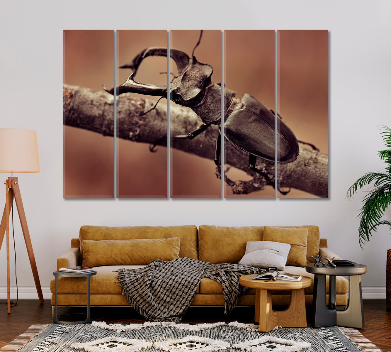 Deer Beetle Close Up Canvas Print-Canvas Print-CetArt-1 Panel-24x16 inches-CetArt