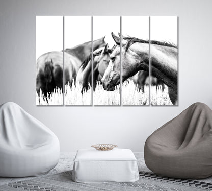 Herd of Horses in Black and White Canvas Print-Canvas Print-CetArt-1 Panel-24x16 inches-CetArt