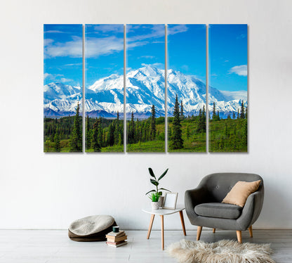 Mount Denali North America Landscape Canvas Print-Canvas Print-CetArt-1 Panel-24x16 inches-CetArt