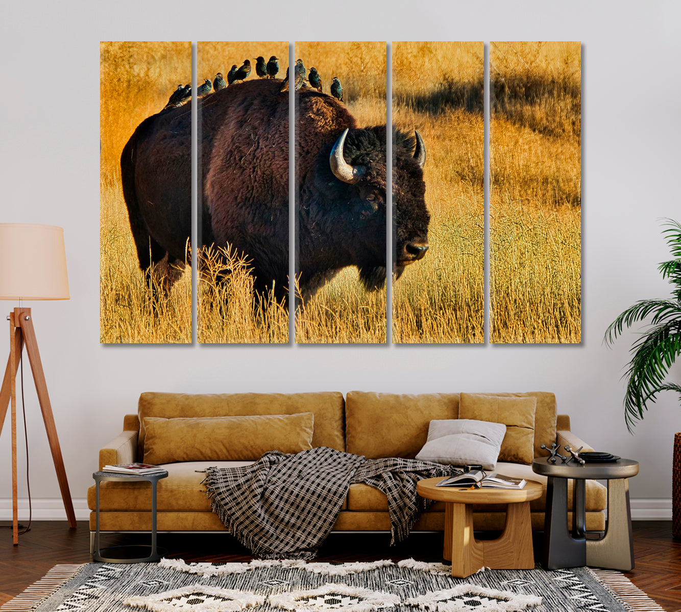 American Bison with Starlings on Back Canvas Print-Canvas Print-CetArt-1 Panel-24x16 inches-CetArt